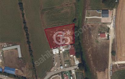 İSTANBUL / ÇATALCA / KESTANELİK SATILIK HİSSELİ ARSA 332 m²