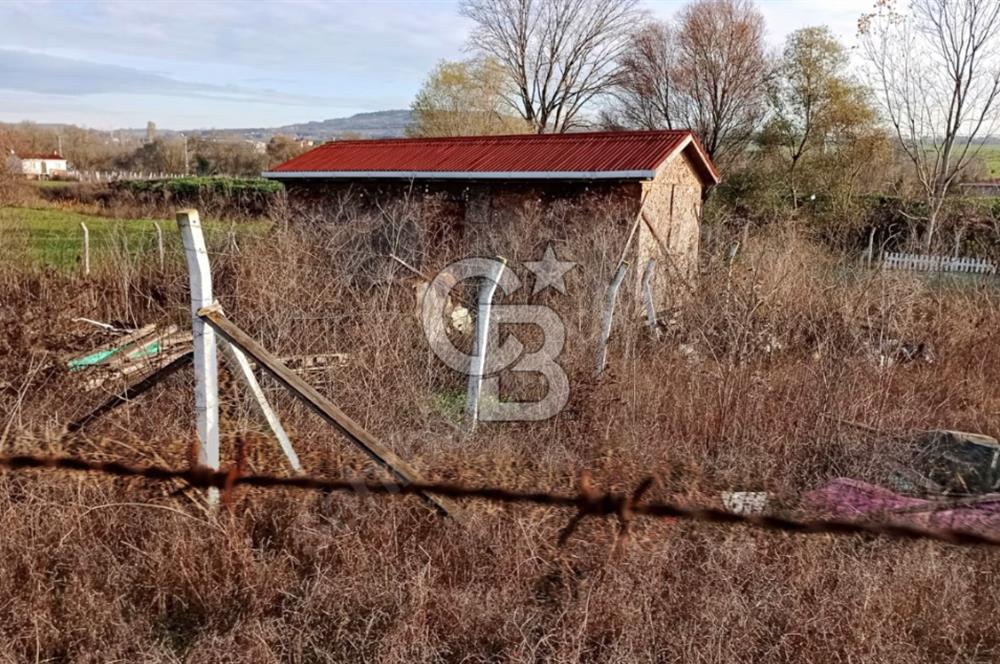 İSTANBUL / ÇATALCA / KESTANELİK SATILIK HİSSELİ ARSA 332 m²