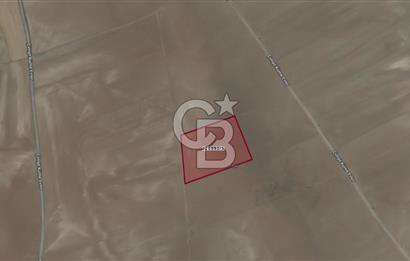 GÖLBAŞI ÇİMŞİT'TE FIRSAT SATILIK TARLA