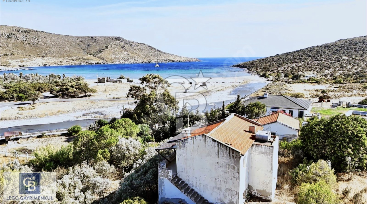URLA ZEYTİNELİ 