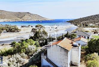 URLA ZEYTİNELİ  - 4 - 331387