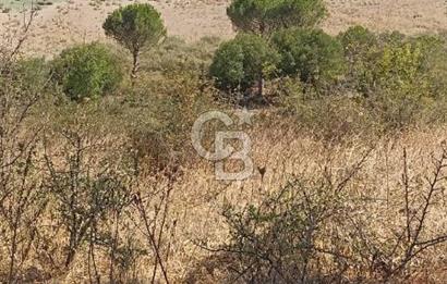 Bergama merkeze yakin baraja cephe 26,5 donum arazi