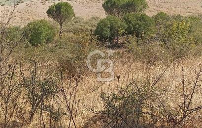 Bergama merkeze yakin baraja cephe 26,5 donum arazi