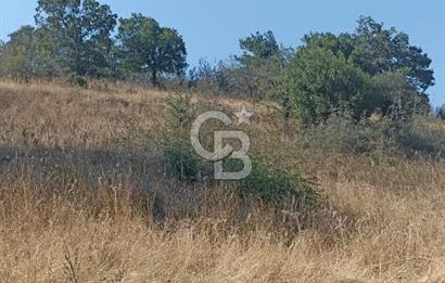 Bergama merkeze yakin baraja cephe 26,5 donum arazi