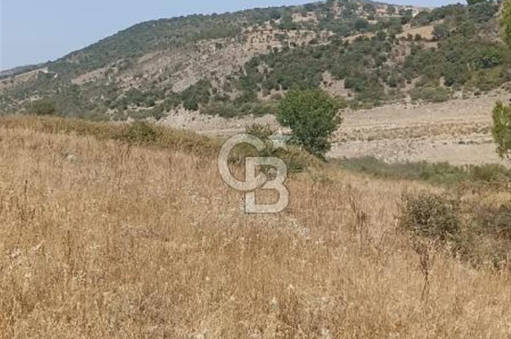 Bergama merkeze yakin baraja cephe 26,5 donum arazi