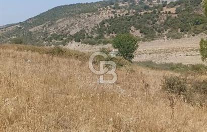 Bergama merkeze yakin baraja cephe 26,5 donum arazi