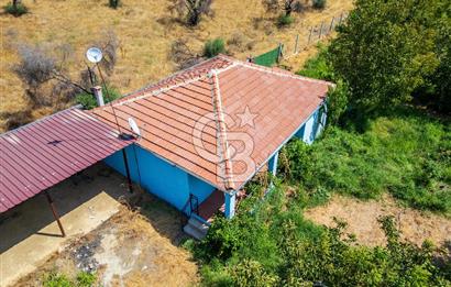 BAYINDIRDA 8.250m² İÇİNDE SU ELEKTRİK HAZIR ÇİFTLİK TADINDA SATILIK TARLA