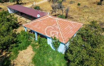 BAYINDIRDA 8.250m² İÇİNDE SU ELEKTRİK HAZIR ÇİFTLİK TADINDA SATILIK TARLA