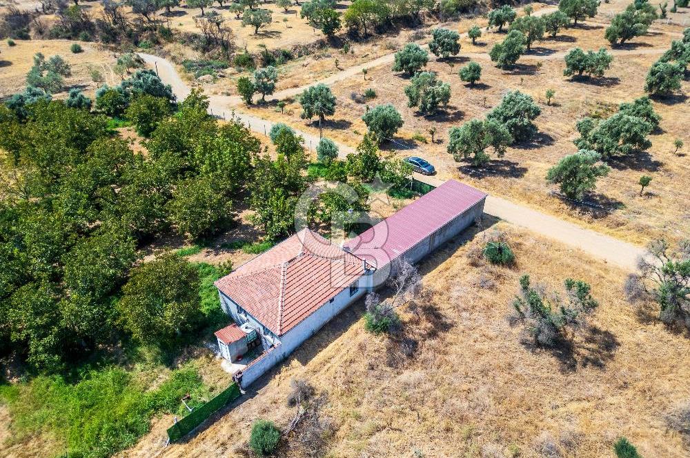 BAYINDIRDA 8.250m² İÇİNDE SU ELEKTRİK HAZIR ÇİFTLİK TADINDA SATILIK TARLA