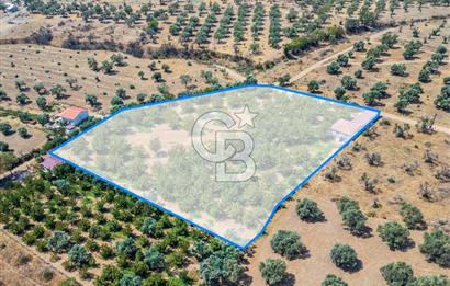 BAYINDIRDA 8.250m² İÇİNDE SU ELEKTRİK HAZIR ÇİFTLİK TADINDA SATILIK TARLA