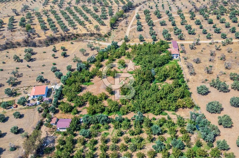 BAYINDIRDA 8.250m² İÇİNDE SU ELEKTRİK HAZIR ÇİFTLİK TADINDA SATILIK TARLA