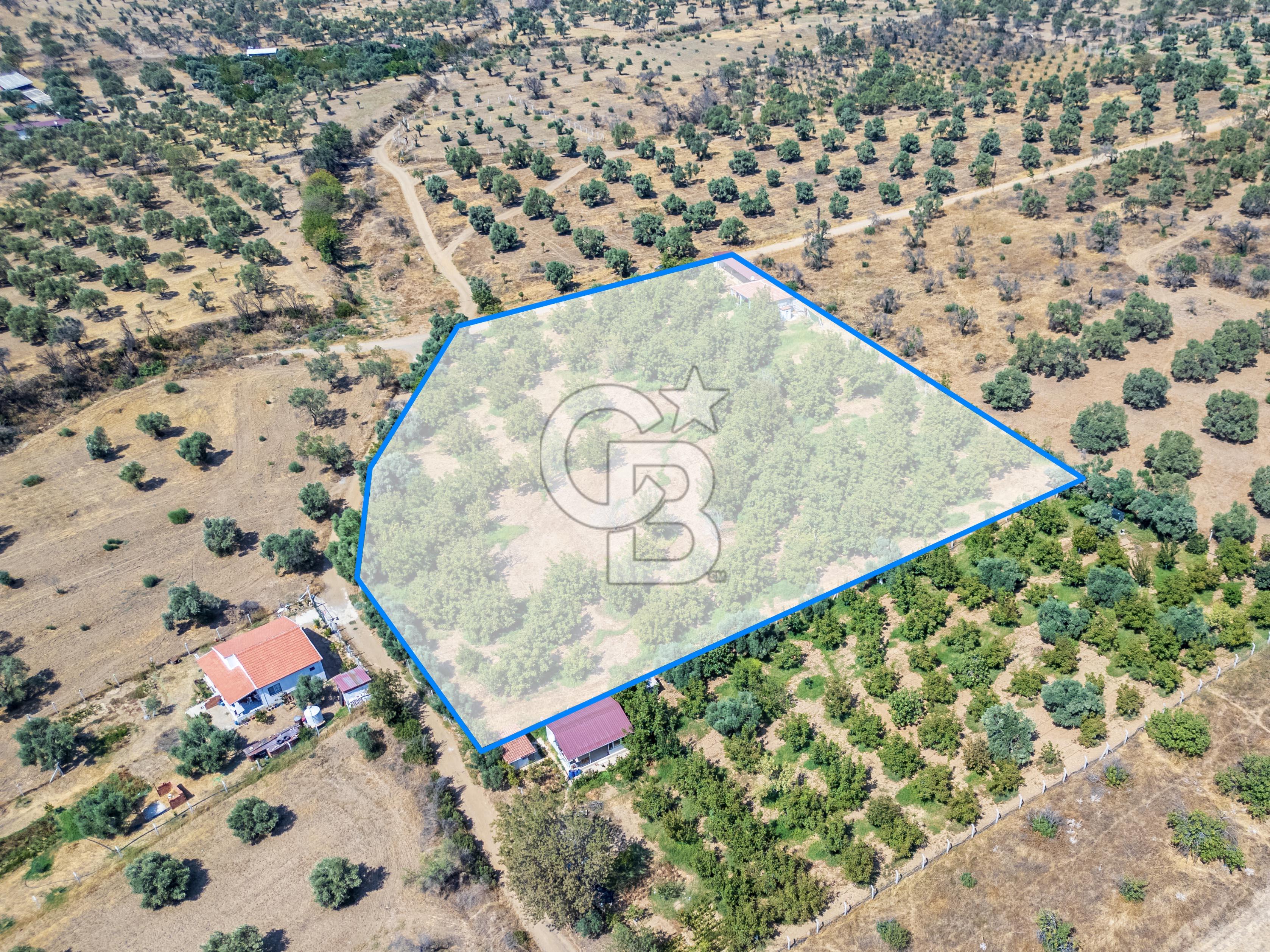 BAYINDIRDA 8.250m² İÇİNDE SU ELEKTRİK HAZIR ÇİFTLİK TADINDA SATILIK TARLA