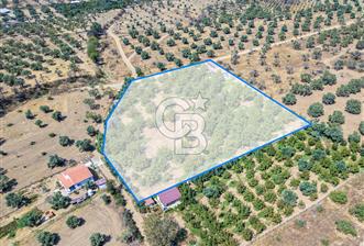 BAYINDIRDA 8.250m² İÇİNDE SU ELEKTRİK HAZIR ÇİFTLİK TADINDA SATILIK TARLA - 6 - 331496