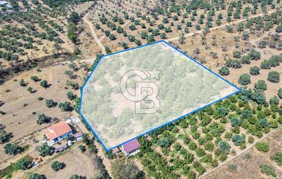 BAYINDIRDA 8.250m² İÇİNDE SU ELEKTRİK HAZIR ÇİFTLİK TADINDA SATILIK TARLA