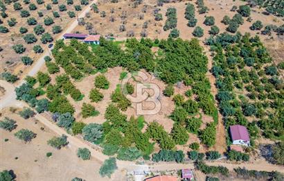 BAYINDIRDA 8.250m² İÇİNDE SU ELEKTRİK HAZIR ÇİFTLİK TADINDA SATILIK TARLA