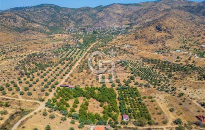 BAYINDIRDA 8.250m² İÇİNDE SU ELEKTRİK HAZIR ÇİFTLİK TADINDA SATILIK TARLA