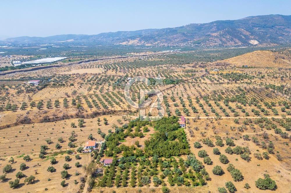 BAYINDIRDA 8.250m² İÇİNDE SU ELEKTRİK HAZIR ÇİFTLİK TADINDA SATILIK TARLA