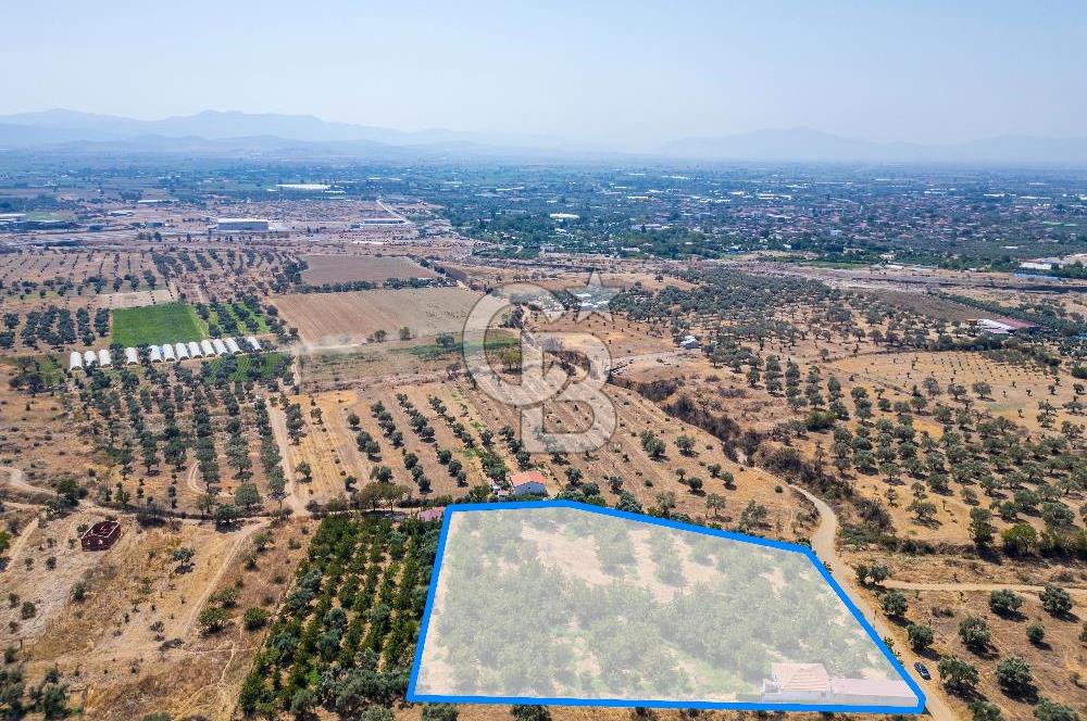 BAYINDIRDA 8.250m² İÇİNDE SU ELEKTRİK HAZIR ÇİFTLİK TADINDA SATILIK TARLA