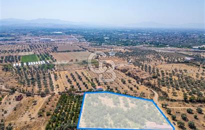 BAYINDIRDA 8.250m² İÇİNDE SU ELEKTRİK HAZIR ÇİFTLİK TADINDA SATILIK TARLA