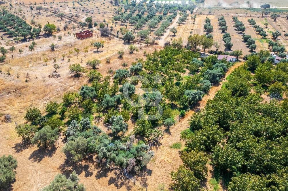 BAYINDIRDA 8.250m² İÇİNDE SU ELEKTRİK HAZIR ÇİFTLİK TADINDA SATILIK TARLA