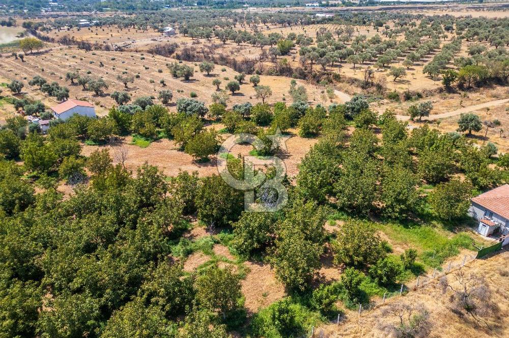 BAYINDIRDA 8.250m² İÇİNDE SU ELEKTRİK HAZIR ÇİFTLİK TADINDA SATILIK TARLA