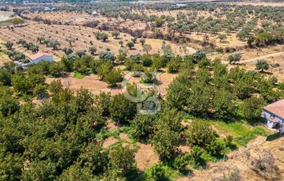 BAYINDIRDA 8.250m² İÇİNDE SU ELEKTRİK HAZIR ÇİFTLİK TADINDA SATILIK TARLA