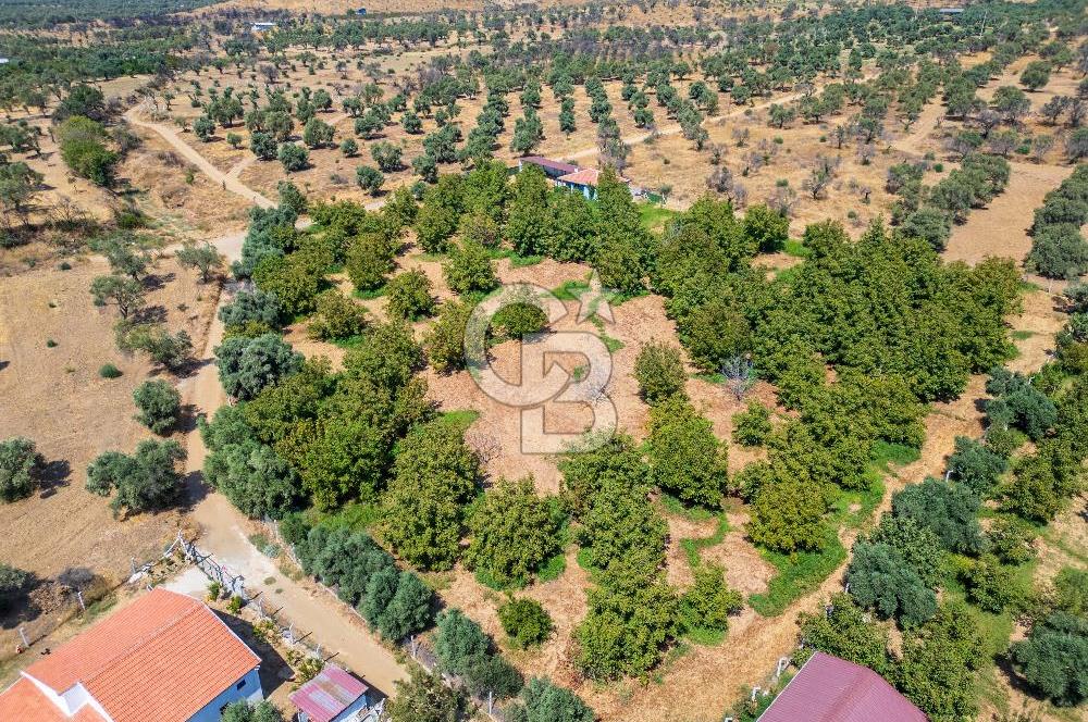 BAYINDIRDA 8.250m² İÇİNDE SU ELEKTRİK HAZIR ÇİFTLİK TADINDA SATILIK TARLA