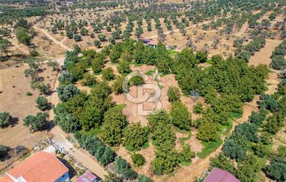 BAYINDIRDA 8.250m² İÇİNDE SU ELEKTRİK HAZIR ÇİFTLİK TADINDA SATILIK TARLA