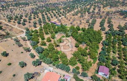 BAYINDIRDA 8.250m² İÇİNDE SU ELEKTRİK HAZIR ÇİFTLİK TADINDA SATILIK TARLA