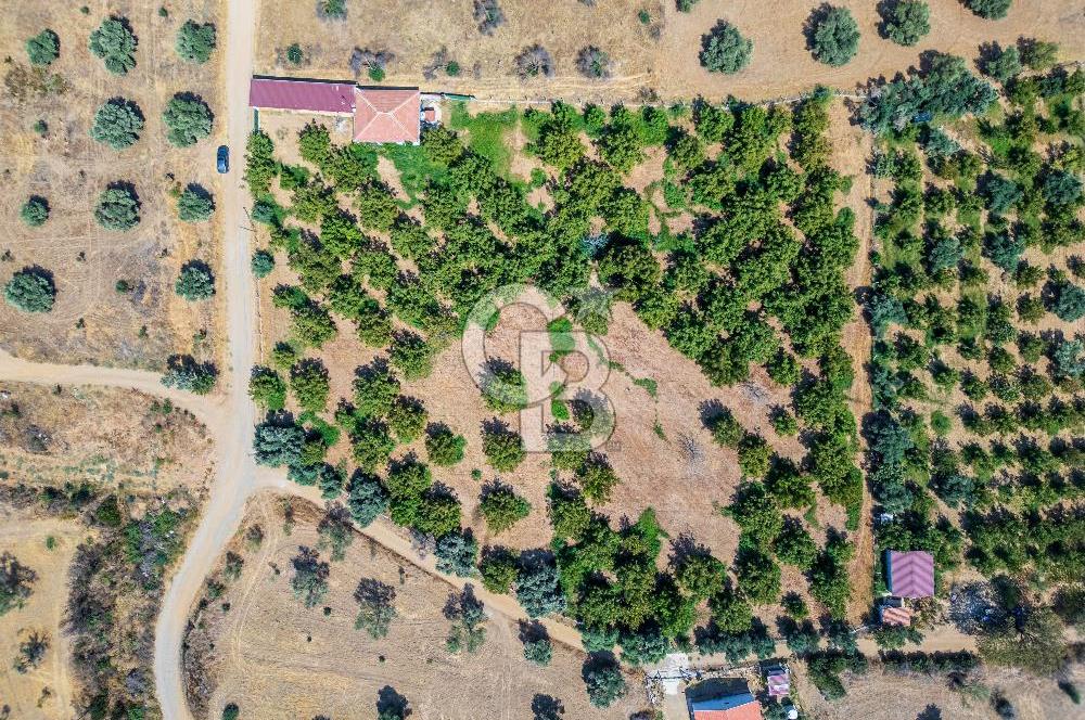 BAYINDIRDA 8.250m² İÇİNDE SU ELEKTRİK HAZIR ÇİFTLİK TADINDA SATILIK TARLA