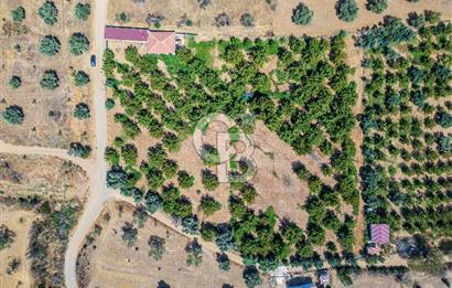 BAYINDIRDA 8.250m² İÇİNDE SU ELEKTRİK HAZIR ÇİFTLİK TADINDA SATILIK TARLA