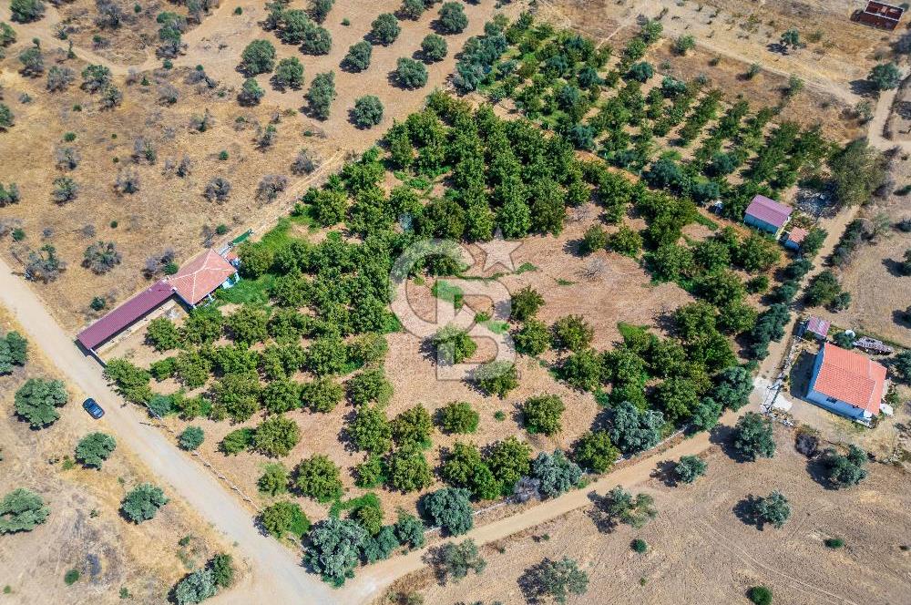 BAYINDIRDA 8.250m² İÇİNDE SU ELEKTRİK HAZIR ÇİFTLİK TADINDA SATILIK TARLA