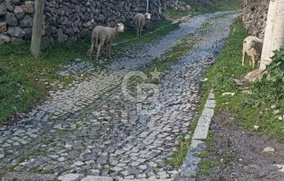 Bergamaya yakın köyde imarlı arsa