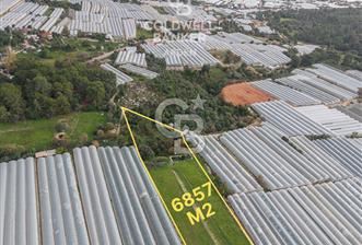 CB ARDENDEN ANTALYA DEMRE BEYMELEKTE SATILIK 6857 M2 TARLA - 7 - 331359