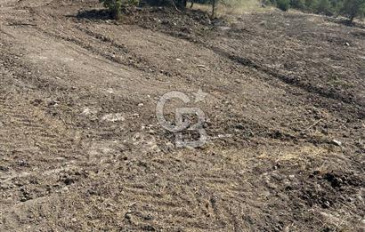 YUNUSEMRE KOZAKLAR'DA AVANTAJLI SATILIK TARLA