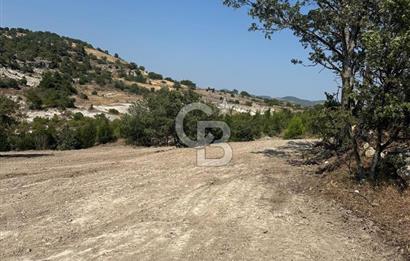 YUNUSEMRE KOZAKLAR'DA AVANTAJLI SATILIK TARLA