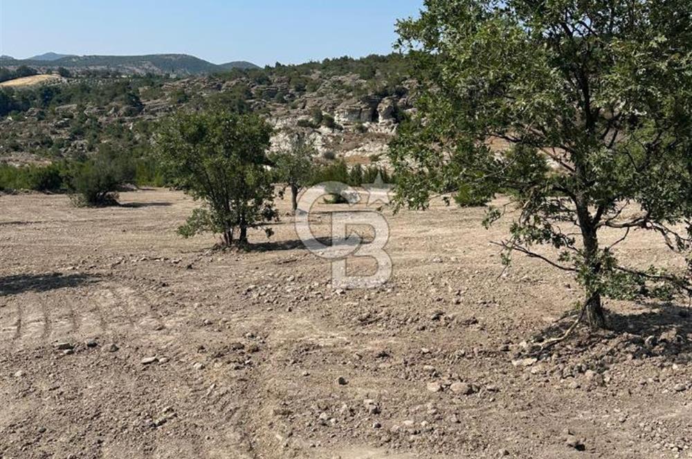YUNUSEMRE KOZAKLAR'DA AVANTAJLI SATILIK TARLA