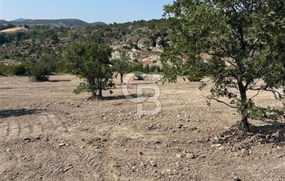 YUNUSEMRE KOZAKLAR'DA AVANTAJLI SATILIK TARLA