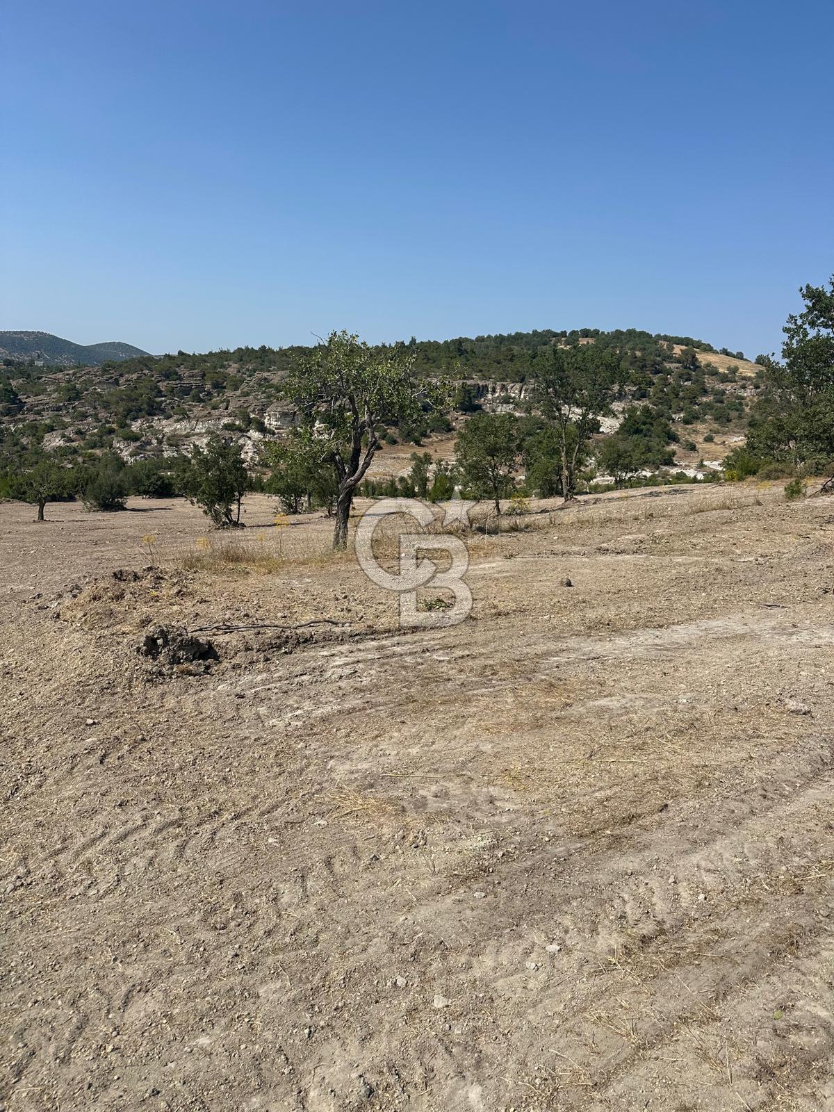 YUNUSEMRE KOZAKLAR'DA AVANTAJLI SATILIK TARLA