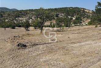 YUNUSEMRE KOZAKLAR'DA AVANTAJLI SATILIK TARLA - 1 - 331517