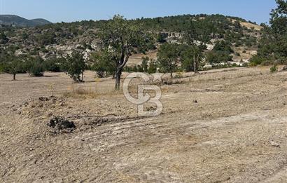 YUNUSEMRE KOZAKLAR'DA AVANTAJLI SATILIK TARLA
