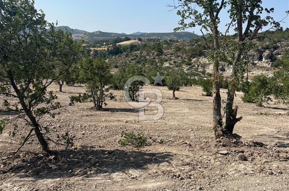 YUNUSEMRE KOZAKLAR'DA AVANTAJLI SATILIK TARLA