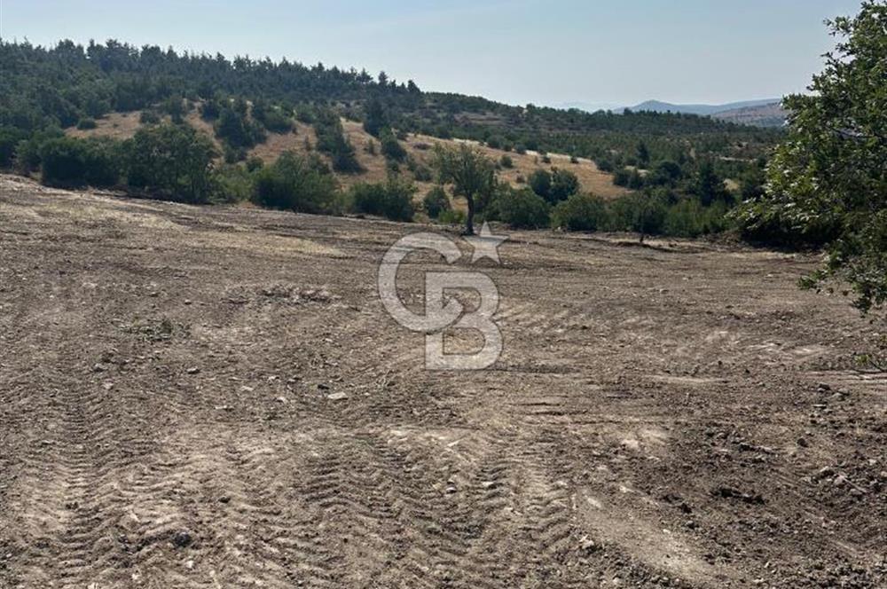 YUNUSEMRE KOZAKLAR'DA AVANTAJLI SATILIK TARLA