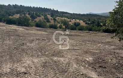 YUNUSEMRE KOZAKLAR'DA AVANTAJLI SATILIK TARLA
