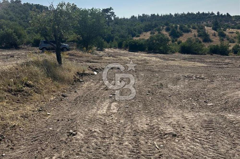 YUNUSEMRE KOZAKLAR'DA AVANTAJLI SATILIK TARLA