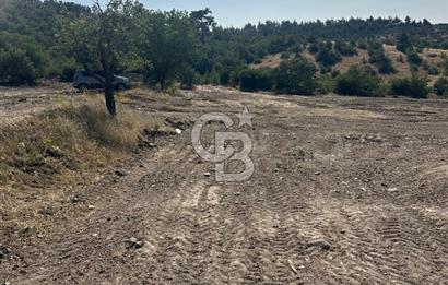 YUNUSEMRE KOZAKLAR'DA AVANTAJLI SATILIK TARLA