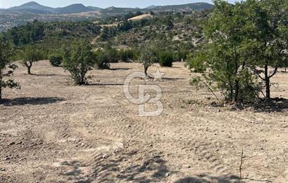 YUNUSEMRE KOZAKLAR'DA AVANTAJLI SATILIK TARLA