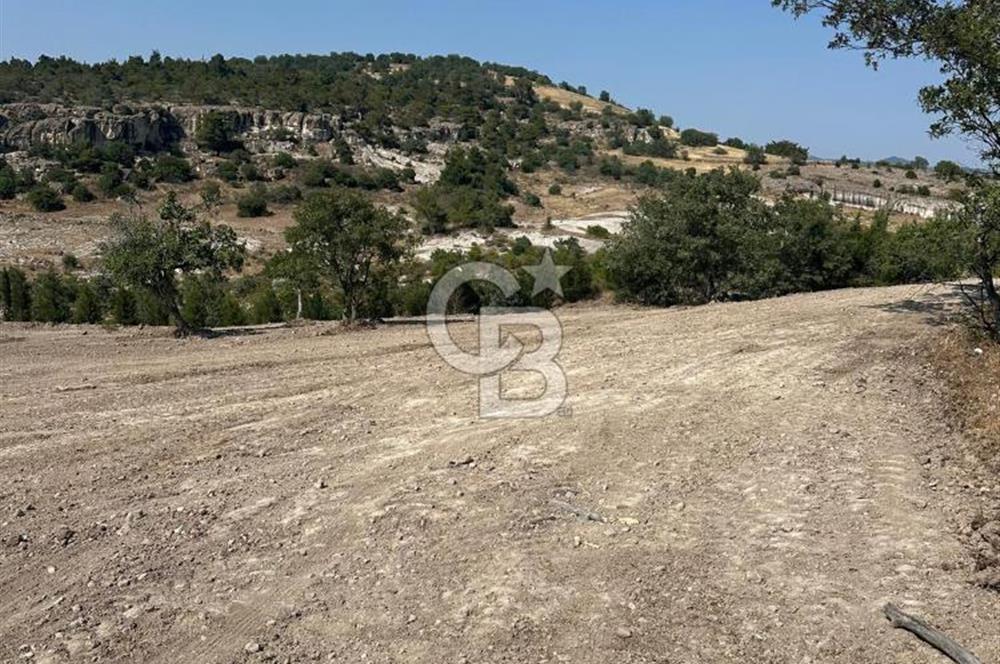 YUNUSEMRE KOZAKLAR'DA AVANTAJLI SATILIK TARLA