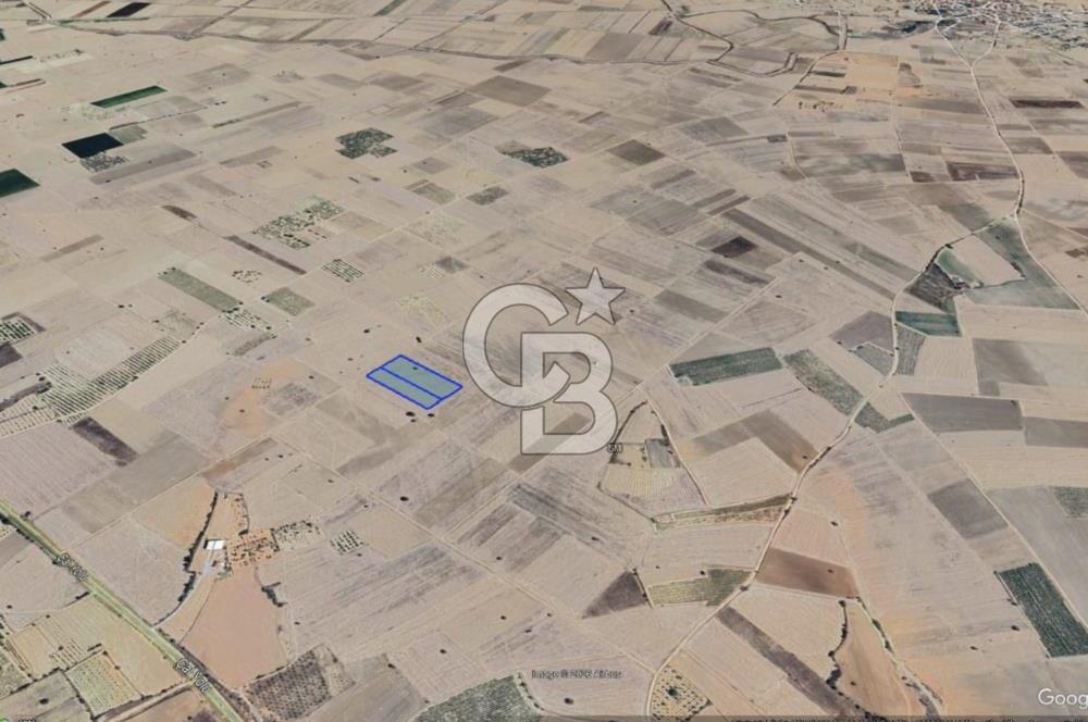 Denizli Çal Denizler Mahallesi Kadastral Yolu Olan Satılık Tarla