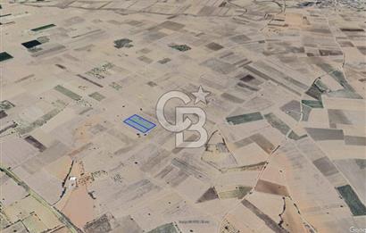 Denizli Çal Denizler Mahallesi Kadastral Yolu Olan Satılık Tarla